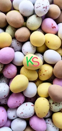 Vertebrate Yellow Easter Live Wallpaper