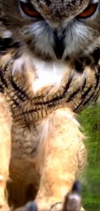 Bird Human Body Screech Owl Live Wallpaper