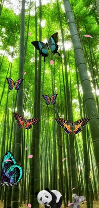 Plant Green Insect Live Wallpaper