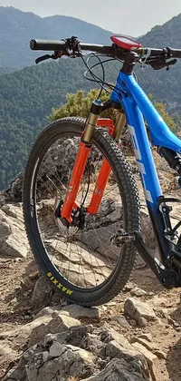 Bicycle Bicycles--equipment And Supplies Tire Live Wallpaper