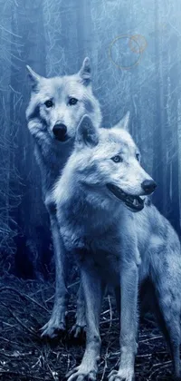 Dog Carnivore Dog Breed Live Wallpaper