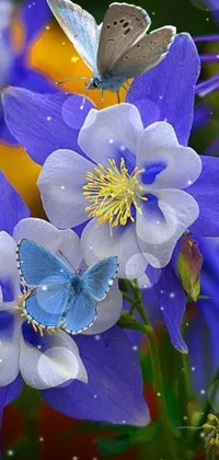 Flower Plant Blue Live Wallpaper