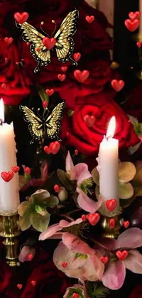 Candle Plant Wax Live Wallpaper
