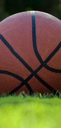 Basketball Sports Equipment Football Live Wallpaper
