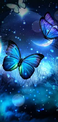 Pollinator Butterfly Insect Live Wallpaper