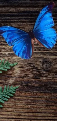 Pollinator Blue Insect Live Wallpaper