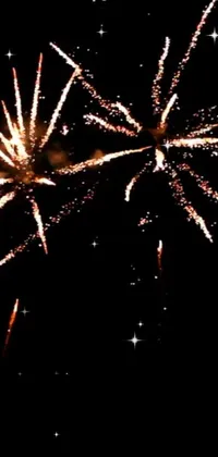 Fireworks Sky Celebrating Live Wallpaper