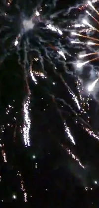 Fireworks Sky Organism Live Wallpaper