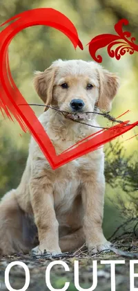 Dog Carnivore Collar Live Wallpaper