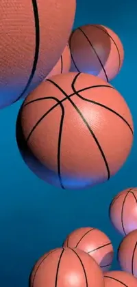 Basketball Photograph Sports Equipment Live Wallpaper