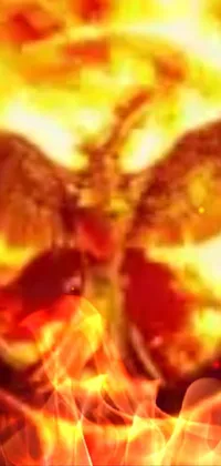 Plant Amber Human Body Live Wallpaper