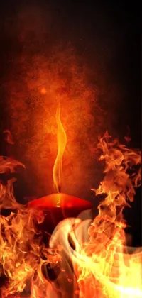 Orange Fire Flame Live Wallpaper