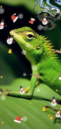 Eye Green Reptile Live Wallpaper