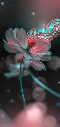 Water Plant Flower Live Wallpaper