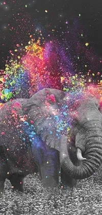 Elephant Elephants And Mammoths Working Animal Live Wallpaper