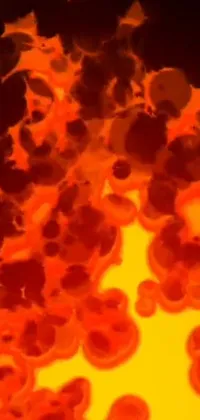 Orange Red Heat Live Wallpaper