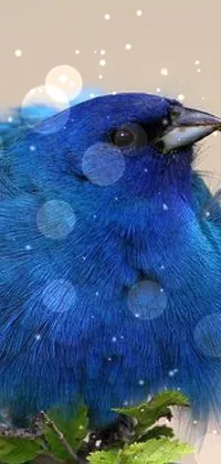 Plant Bird Electric Blue Live Wallpaper