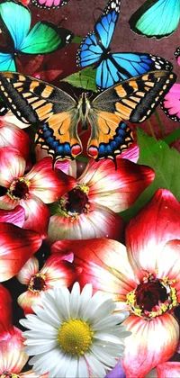 Nature Flower Plant Live Wallpaper