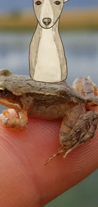 Lizard Reptile Wood Live Wallpaper