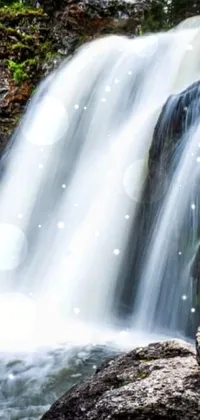 Water Waterfall Plant Live Wallpaper