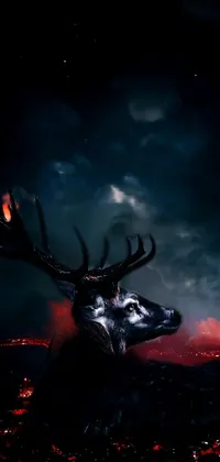 Sky Art Deer Live Wallpaper