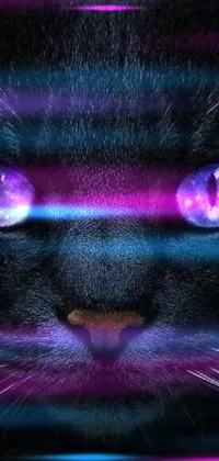 Purple Carnivore Cat Live Wallpaper