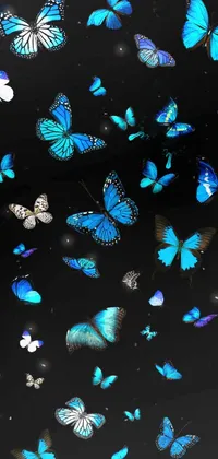 Art Blue Arthropod Live Wallpaper
