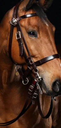 Horse Neck Liver Live Wallpaper