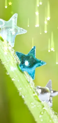 Botany Leaf Azure Live Wallpaper