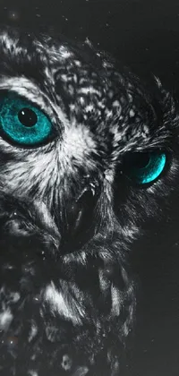 Head Bird Eye Live Wallpaper