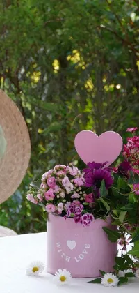 Flower Plant Flowerpot Live Wallpaper