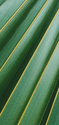Green Azure Terrestrial Plant Live Wallpaper
