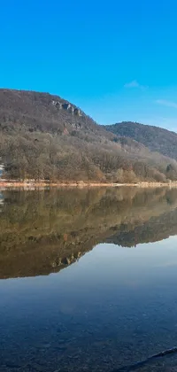 nature Live Wallpaper