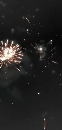 Fireworks Sky Midnight Live Wallpaper