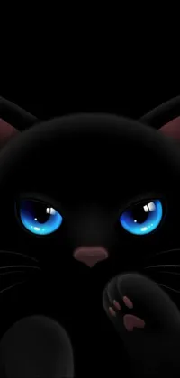 Eye Felidae Carnivore Live Wallpaper