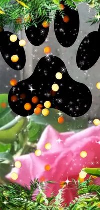 Plant Liquid Botany Live Wallpaper
