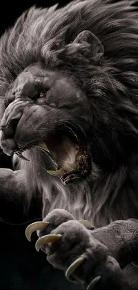 Felidae Lion Carnivore Live Wallpaper