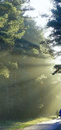 yyj Live Wallpaper
