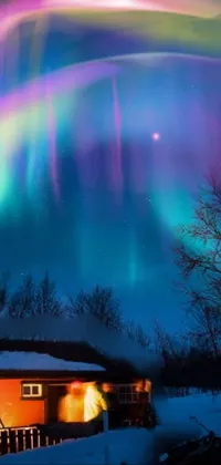 Winter Aurora lights Live Wallpaper