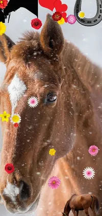 Horse Working Animal Liver Live Wallpaper