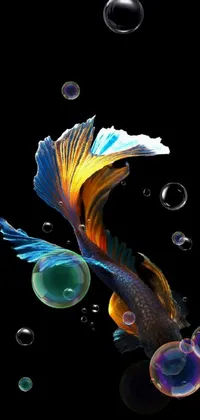 FISH IN DEEP Live Wallpaper