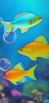 The beauty  Live Wallpaper