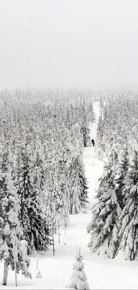 Snow Forest Live Wallpaper