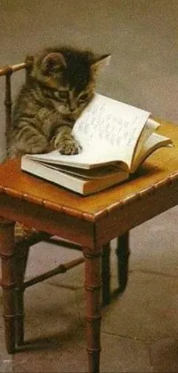Cat Furniture Table Live Wallpaper