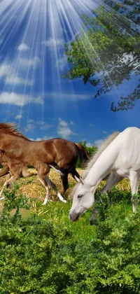 Horse Sky Plant Live Wallpaper