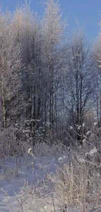 custom_image_1615739909134 Live Wallpaper