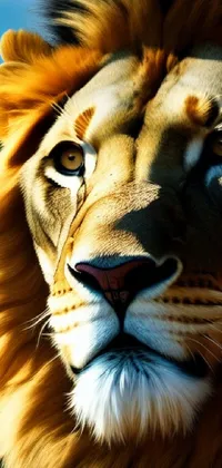 Lion Live Wallpaper - free download