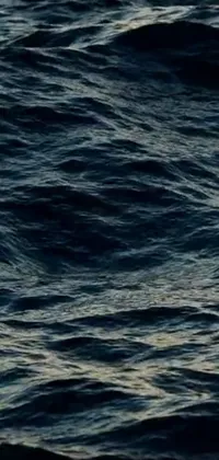 Water Liquid Azure Live Wallpaper