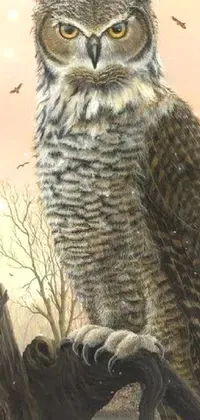 Bird Owl Nature Live Wallpaper