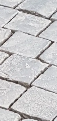 Road well travelled  Live Wallpaper